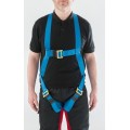 Werner Fall Protection