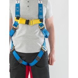 2 Point Fall Arrest Harness