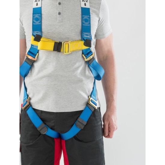 2 Point Fall Arrest Harness
