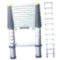 Werner rung space telescopic ladders