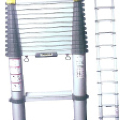 Werner rung space telescopic ladders