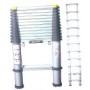 Werner rung space telescopic ladders